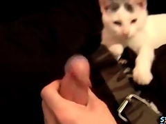 Cute challenge plays take his kitten together with jerks off